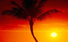 Summer wallpapers24